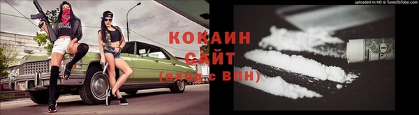 шишки Беломорск