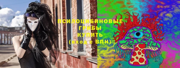 шишки Беломорск