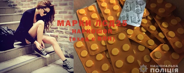 шишки Беломорск