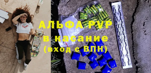 шишки Беломорск